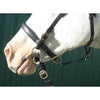 LightRider STOCKHORSE BITLESS Bridle - Regular Leather with Brass Fittings