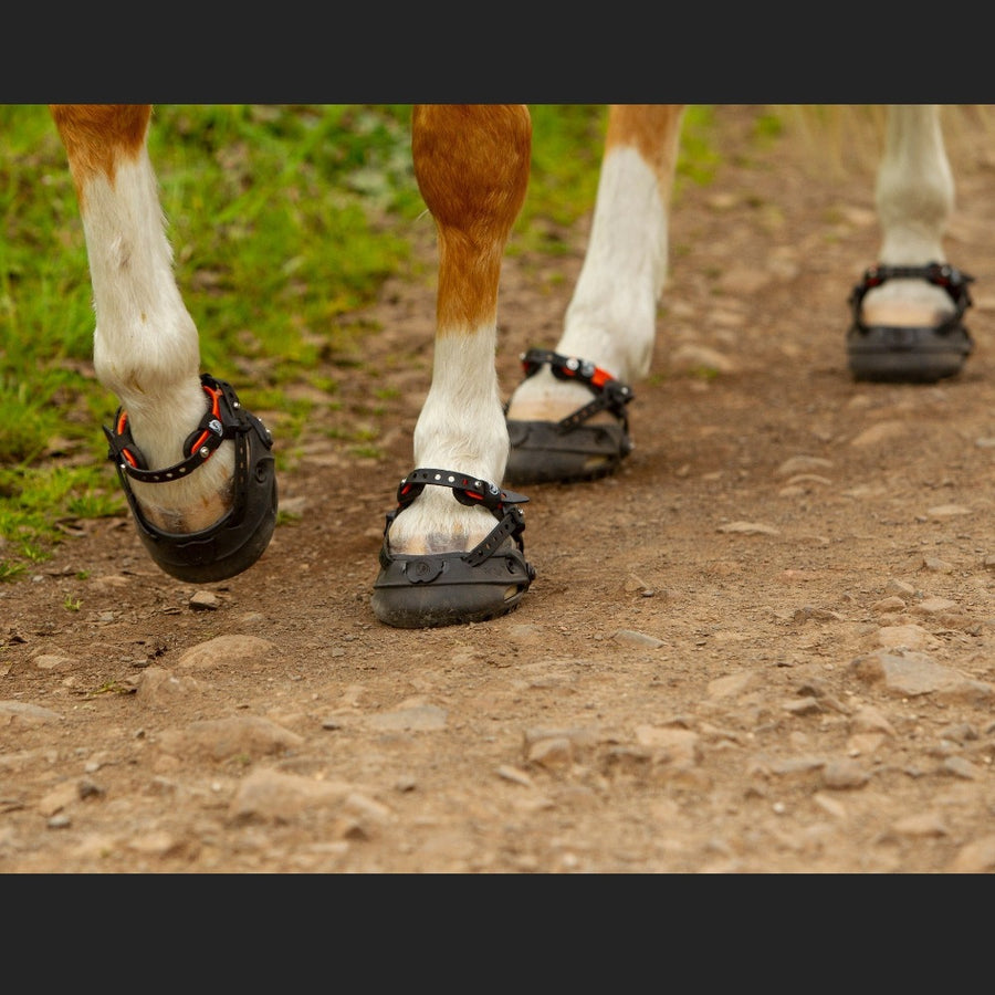 Hoof boots for riding best sale