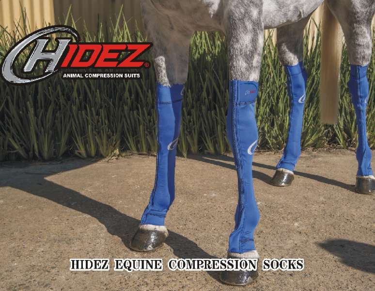 HIDEZ Compression Socks FRONTS - for Horses - Gone RIDING